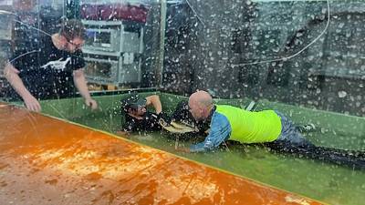 Une soigneuse se fait attaquer par un alligator pendant une fête d'anniversaire