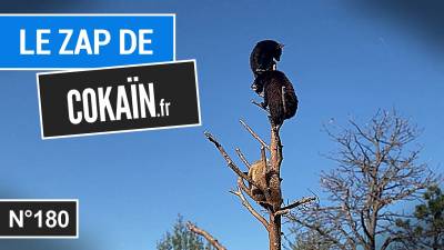 Le Zap de Cokaïn.fr n°180