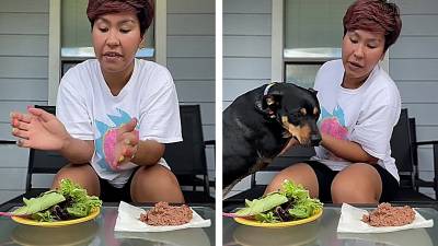 Une femme veut prouver que son chien est végétarien