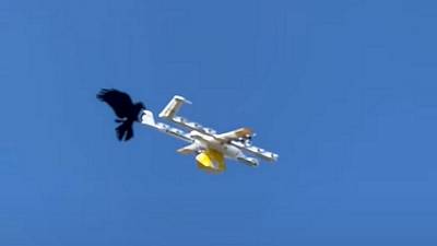 Un corbeau attaque un drone de livraison