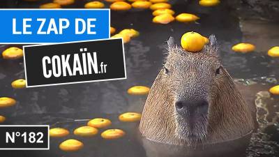 Le Zap de Cokaïn.fr n°182