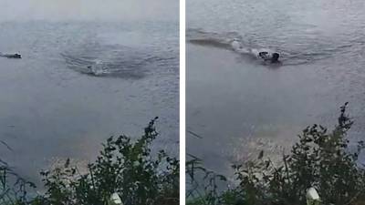 Un homme se fait attaquer par un alligator