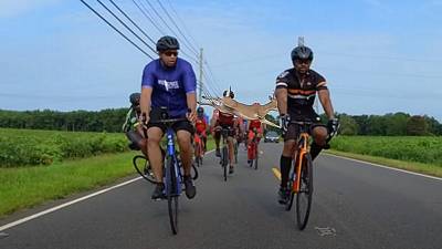 Une biche traverse un peloton de cyclistes