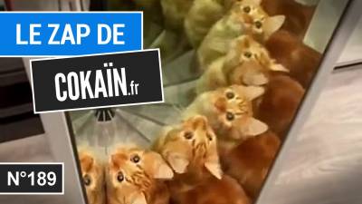 Le Zap de Cokaïn.fr n°189