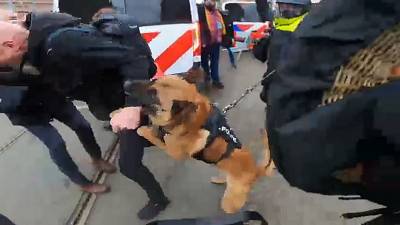 La police sort les chiens contre les manifestants anti-confinement