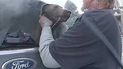Un policier sauve un chien d'une voiture en feu
