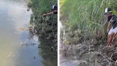 Un homme se retrouve bloqué face à un crocodile
