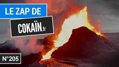 Le Zap de Cokaïn.fr n°205