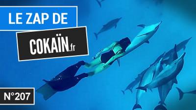 Le Zap de Cokaïn.fr n°207