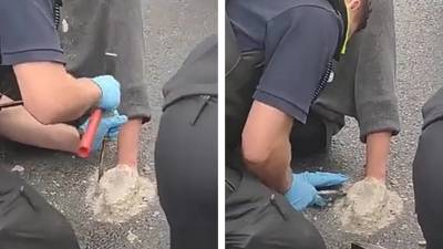 Après la glue, les activistes se cimentent les mains