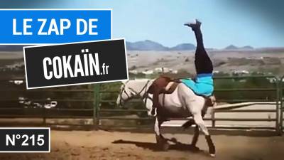 Le Zap de Cokaïn.fr n°215