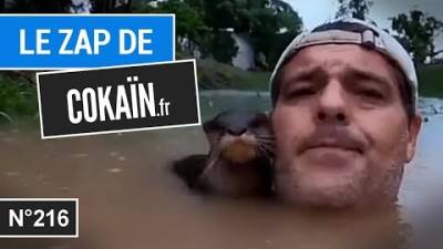 Le Zap de Cokaïn.fr n°216