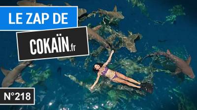 Le Zap de Cokaïn.fr n°218