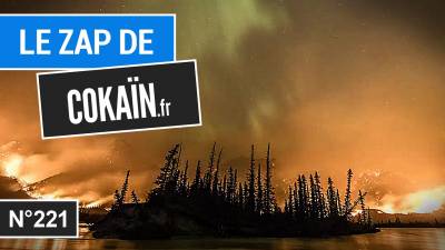 Le Zap de Cokaïn.fr n°221