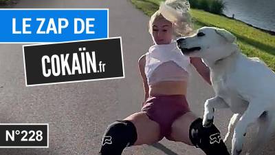 Le Zap de Cokaïn.fr n°228