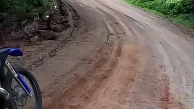 Collision imprévue en motocross : Quand la faune rappelle l'importance du casque