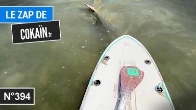 Le Zap de Cokaïn.fr n°394