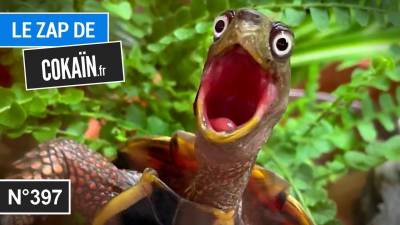 Le Zap de Cokaïn.fr n°397