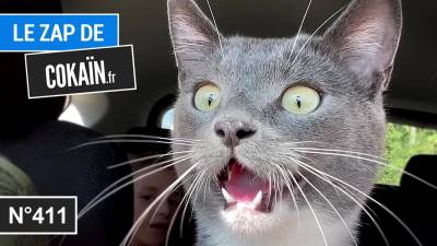 Le Zap de Cokaïn.fr n°411