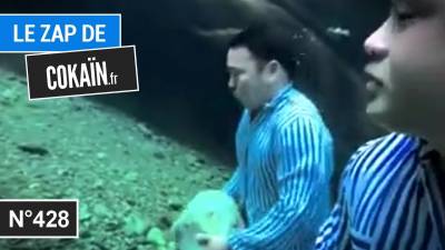 Le Zap de Cokaïn.fr n°428