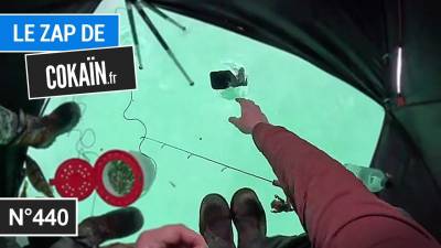Le Zap de Cokaïn.fr n°440