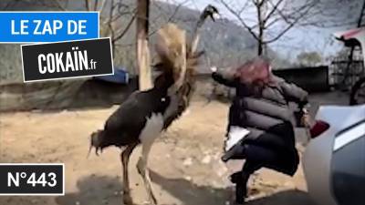 Le Zap de Cokaïn.fr n°443