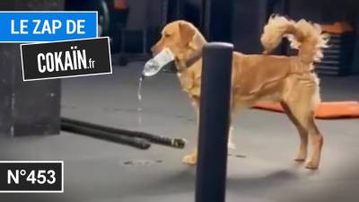 Le Zap de Cokaïn.fr n°453