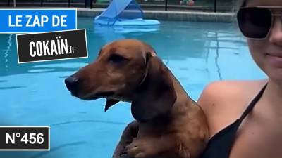 Le Zap de Cokaïn.fr n°456