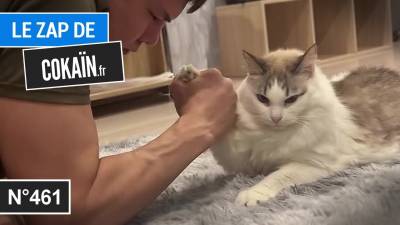 Le Zap de Cokaïn.fr n°461