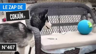 Le Zap de Cokaïn.fr n°467