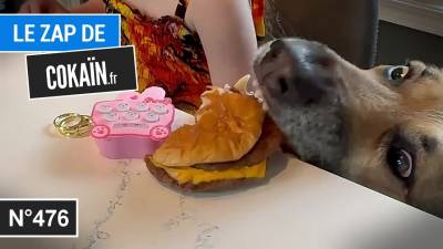 Le Zap de Cokaïn.fr n°476