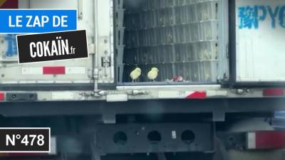Le Zap de Cokaïn.fr n°478