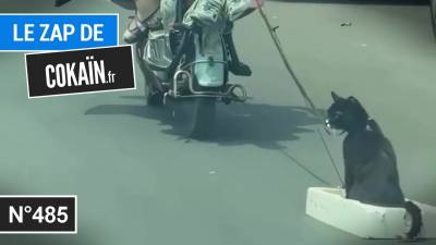 Le Zap de Cokaïn.fr n°485