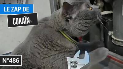 Le Zap de Cokaïn.fr n°486