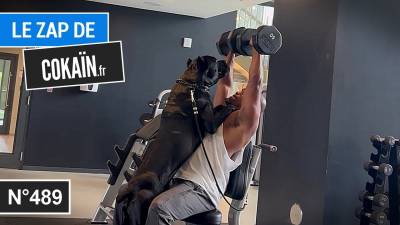 Le Zap de Cokaïn.fr n°489