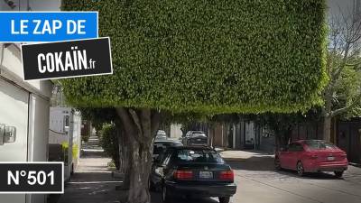 Le Zap de Cokaïn.fr n°501