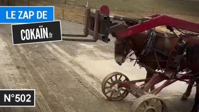 Le Zap de Cokaïn.fr n°502