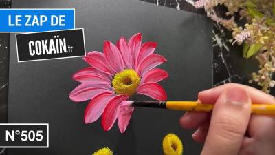 Le Zap de Cokaïn.fr n°505