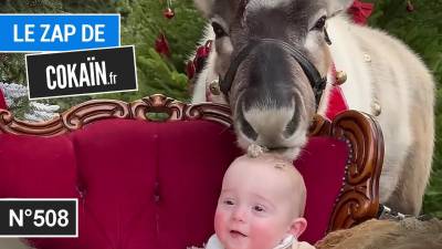 Le Zap de Cokaïn.fr n°508