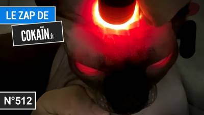 Le Zap de Cokaïn.fr n°512