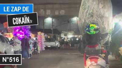 Le Zap de Cokaïn.fr n°516