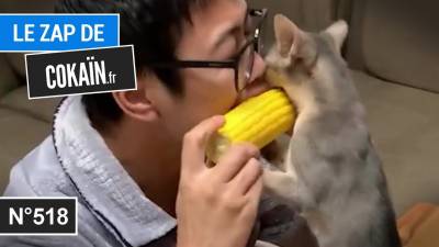 Le Zap de Cokaïn.fr n°518