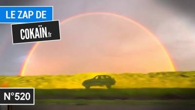 Le Zap de Cokaïn.fr n°520