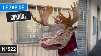 Le Zap de Cokaïn.fr n°522