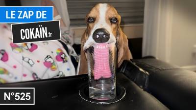 Le Zap de Cokaïn.fr n°525