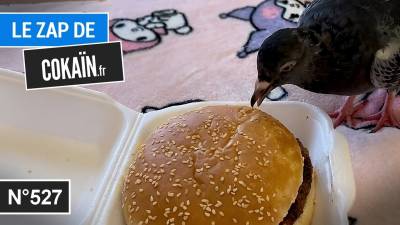 Le Zap de Cokaïn.fr n°527