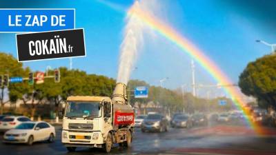 Le Zap de Cokaïn.fr n°531