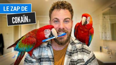 Le Zap de Cokaïn.fr n°532