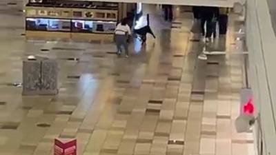 Scène insolite : Un chien chapardeur déclenche une course-poursuite en centre commercial